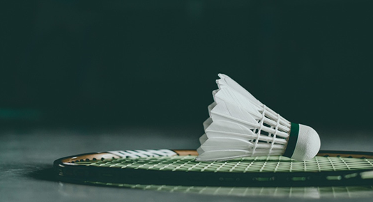 Badminton